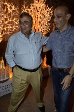 at India Design Forum hosted by Belvedere Vodka in Bandra, Mumbai on 11th March 2013 (167).JPG